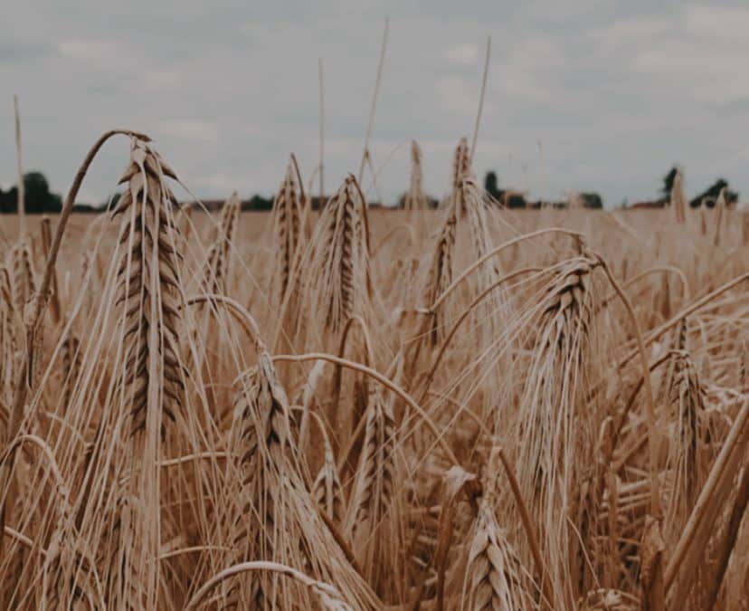 An Abenden wie diesen…