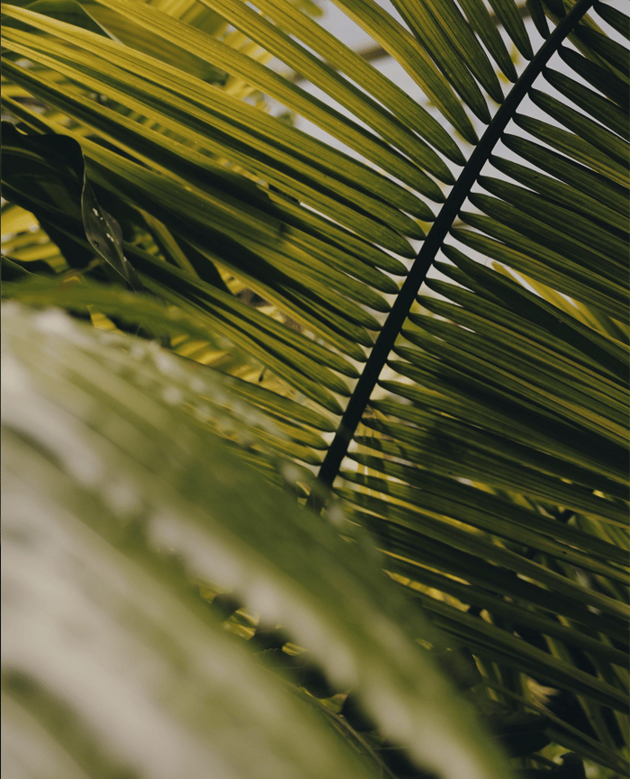 naturfotografie